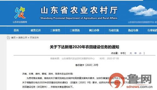 山東下達(dá)新增高標(biāo)準(zhǔn)農(nóng)田建設(shè)任務(wù)15萬畝