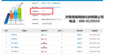 濟南市中區(qū)專業(yè)網站建設 提升企業(yè)在線競爭力的關鍵選擇