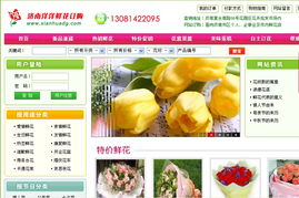 濟南網(wǎng)站建設與優(yōu)化服務全解析 從制作到推廣再到備案