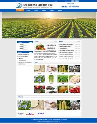 山東鼎坤農業(yè)企業(yè)網(wǎng)站建設成功案例 康美科技助力濟南農業(yè)品牌數(shù)字化轉型